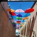 Yesterday‘s umbrellas, today’s sun shades by randystreat
