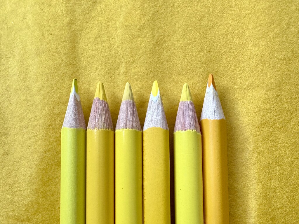 Yellow 3 by kjarn