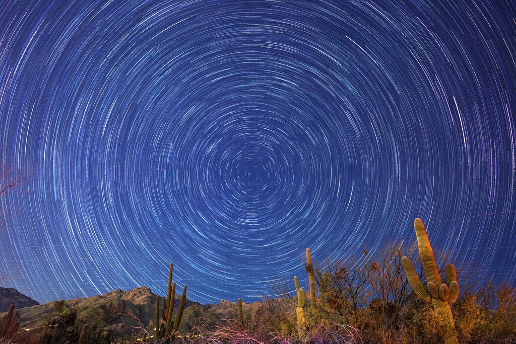 Star Trails over the Desert by mdaskin