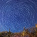 Star Trails over the Desert