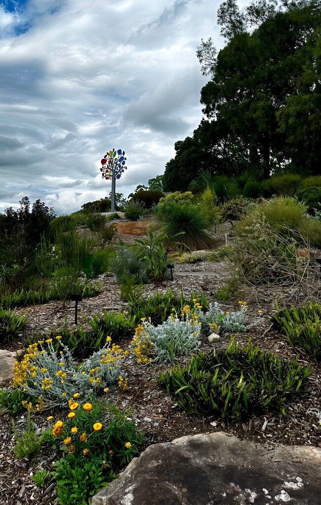 Australian Botanic Garden 1 by deidre