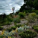Australian Botanic Garden 1 by deidre