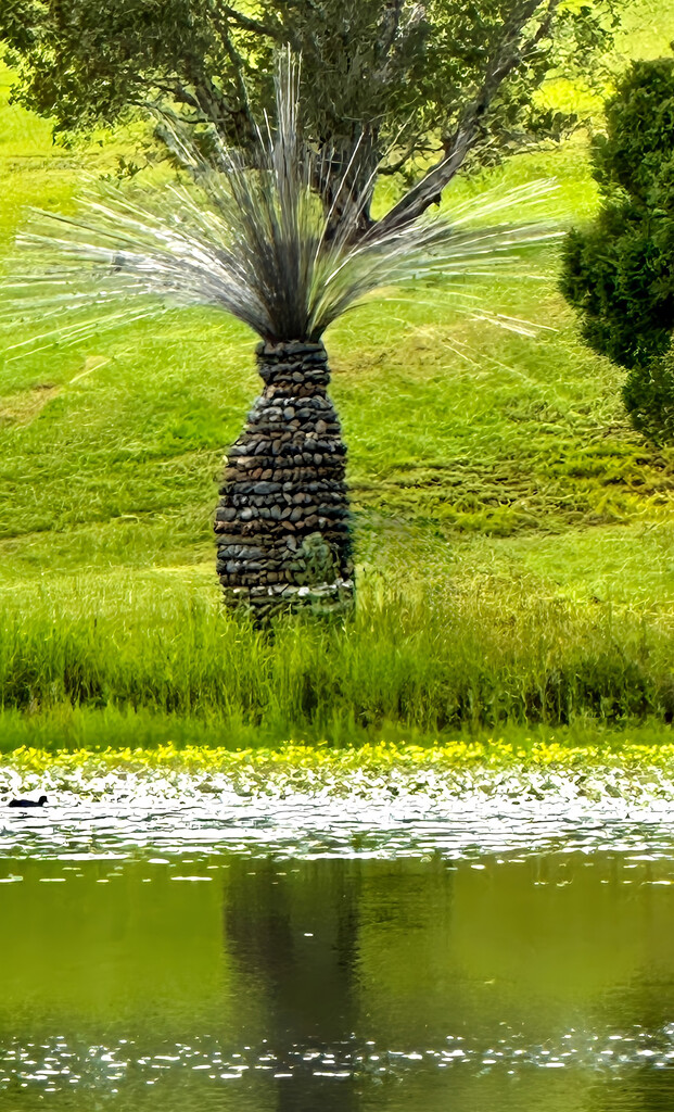 Australian Botanic Garden 2 by deidre