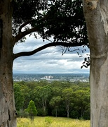 2nd Mar 2024 - Australian Botanic Garden 5