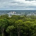 Australian Botanic Garden 6 by deidre