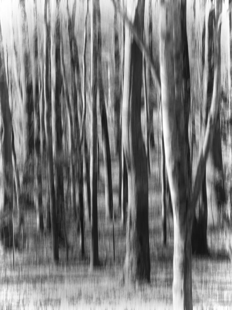Motion blur... by marlboromaam