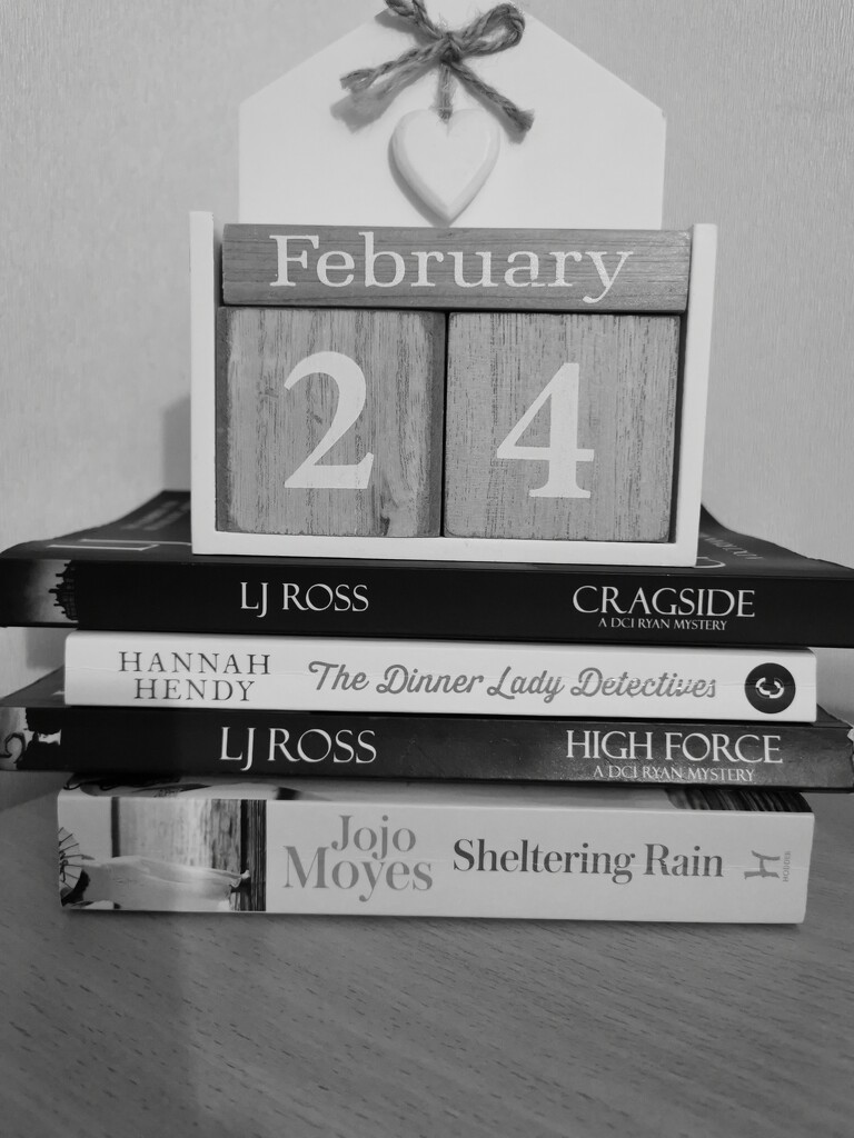 Books Read in February 2024 by plainjaneandnononsense