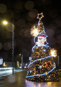 3rd Jan 2024 - The last days of Belz's Christmas Tree