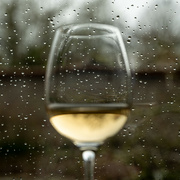 15th Mar 2024 - 03-15 - Rain outside, wine inside
