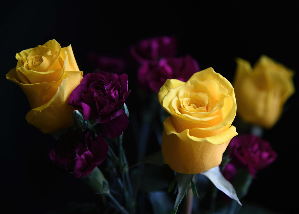 Yellow Roses Purple Carnations by paintdipper