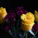 Yellow Roses Purple Carnations