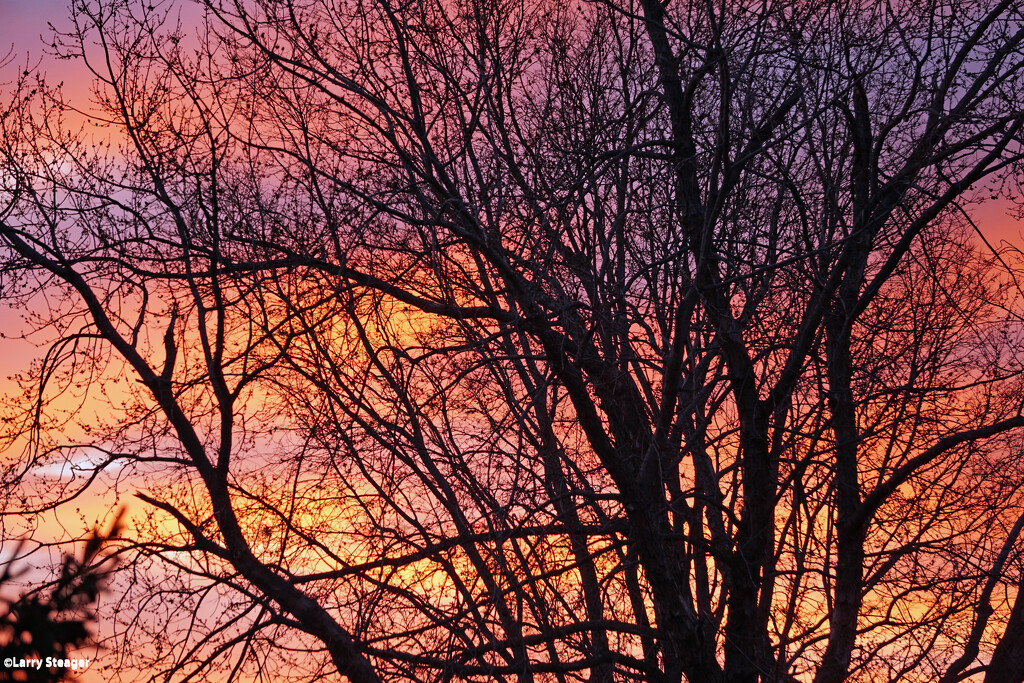 Spring sunrise 1 by larrysphotos