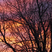 Spring sunrise 1 by larrysphotos