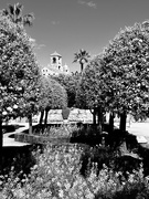 20th Mar 2024 - Alcázar #1