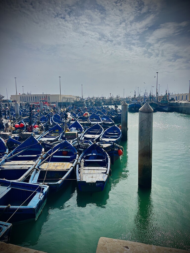 Fishing boats, Essaouira by cadu