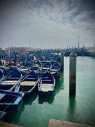 5th Mar 2024 - Fishing boats, Essaouira