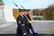 20th Mar 2024 - At the Tomb of the Unknown Soldier