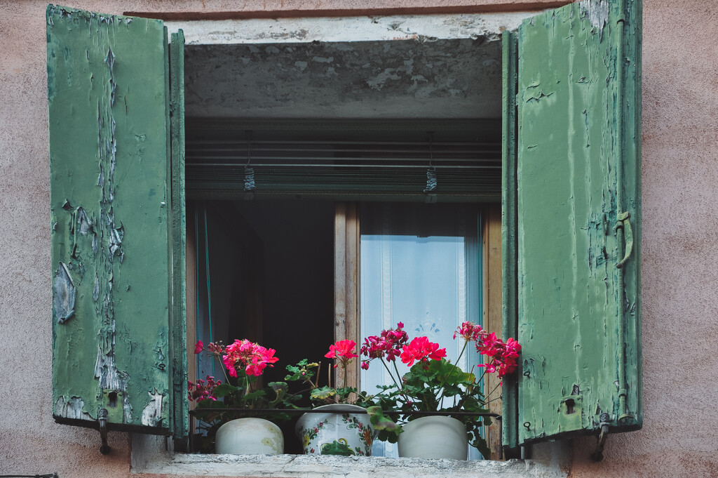 Green shutters with geranium  by brigette