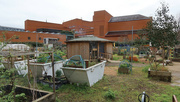 20th Mar 2024 - The Story Garden at the British Library.