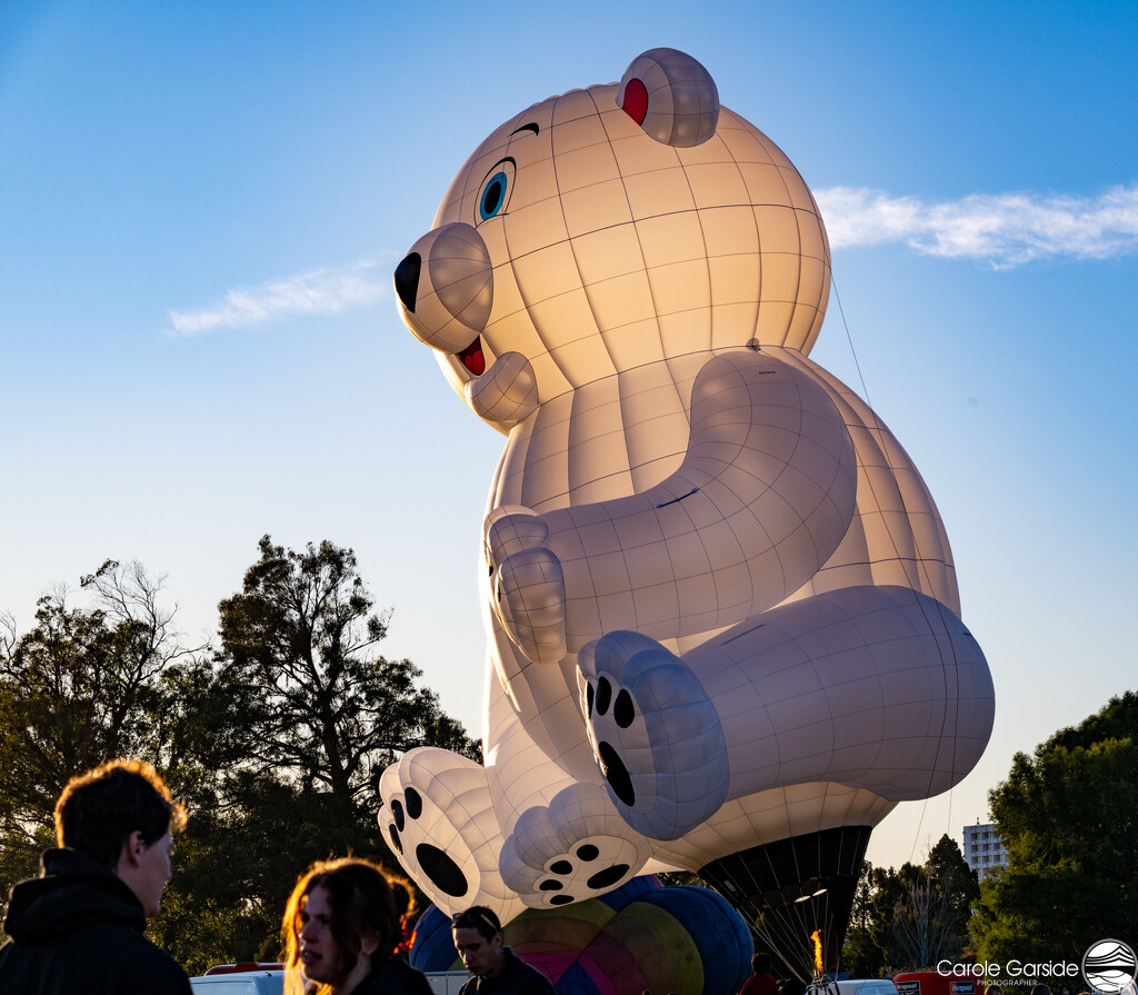 Polar Bear Balloon by yorkshirekiwi