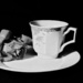 Rose, Cup and Plate by allsop
