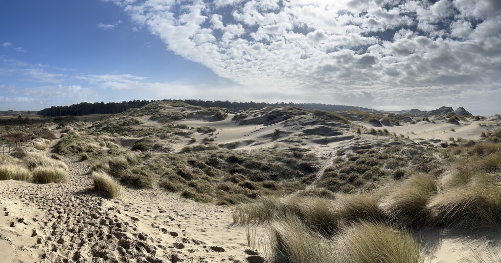 Dune by lexy_wat