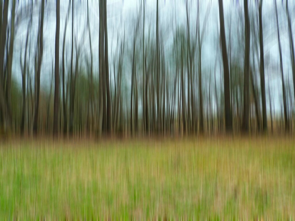 Vertical motion blur... by marlboromaam