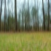 Vertical motion blur... by marlboromaam