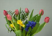 21st Mar 2024 - Spring flowers