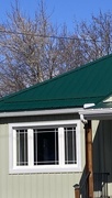 21st Mar 2024 - Green Roof