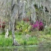 Magnolia Gardens, Charleston, SC