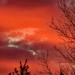 Spring sunrise 3 by larrysphotos