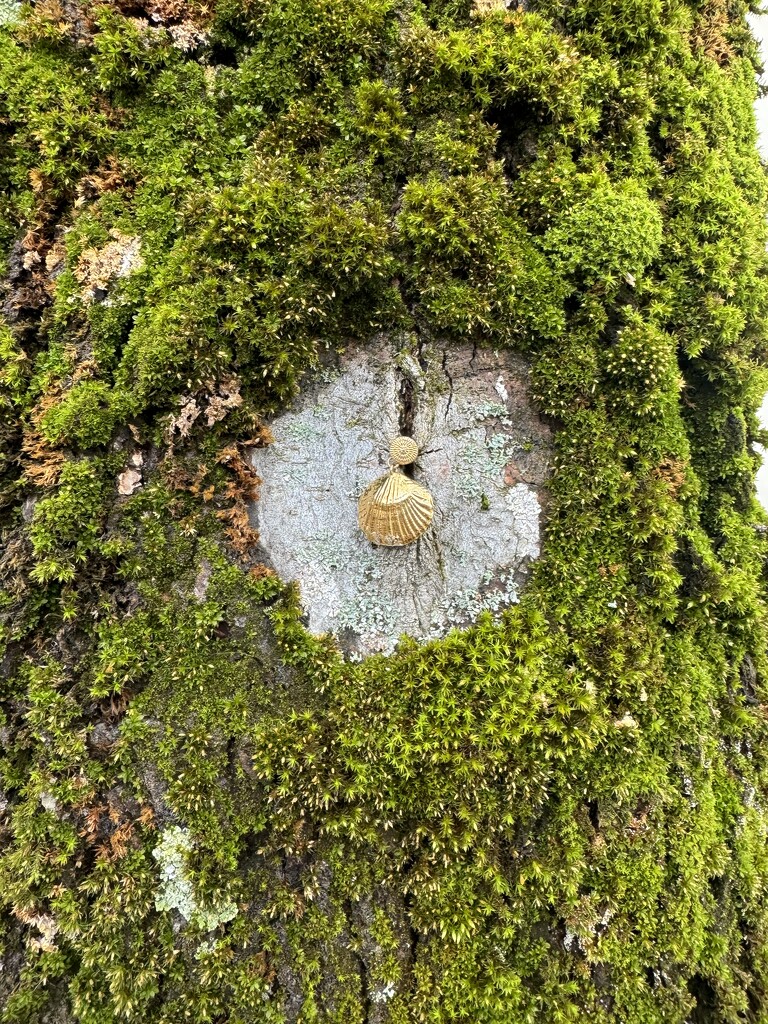 Tree ornament.  by cocobella