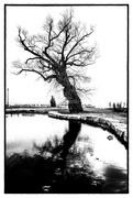 21st Mar 2024 - Gairloch Tree