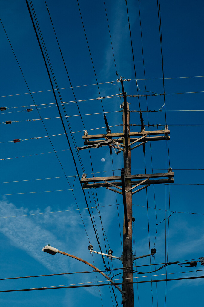 Caught the moon in a web of lines by aaronosaurus