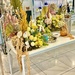 Lovely Nowruz Display… by whatcapturesmyeye
