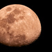 Last Night's Moon Shot! by rickster549