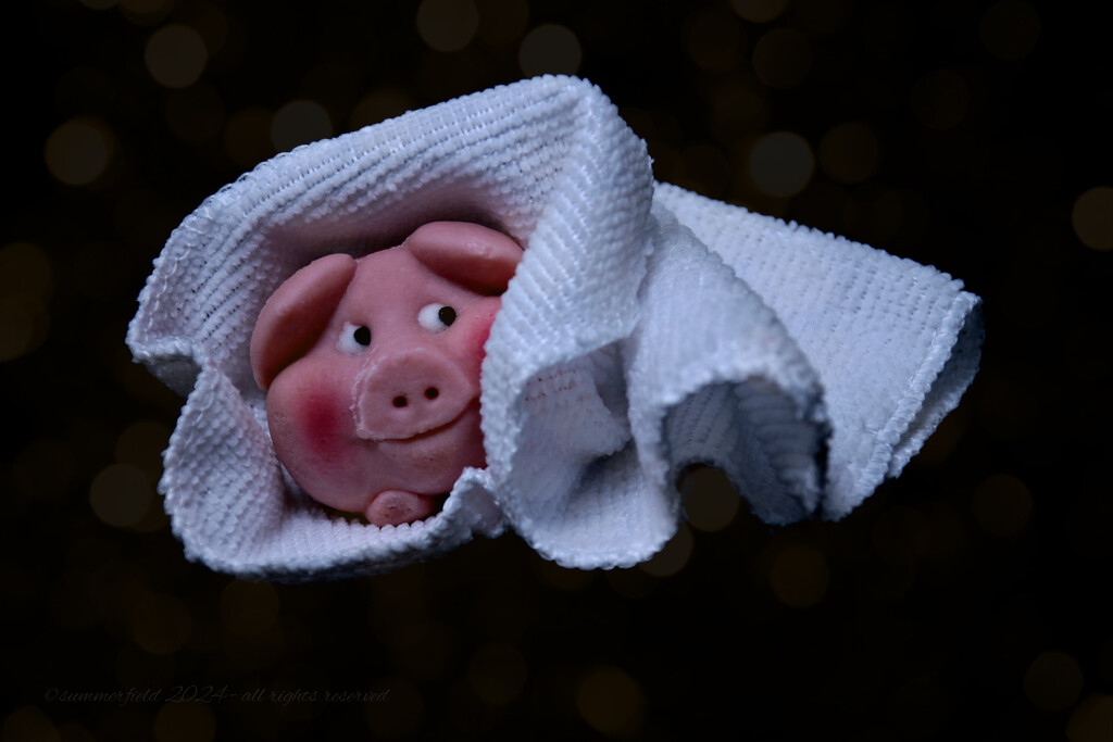 pig in a blanket by summerfield