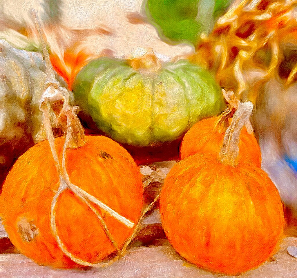 Pumpkin Art  by rensala