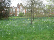 22nd Mar 2024 - Newnham College Cambridge