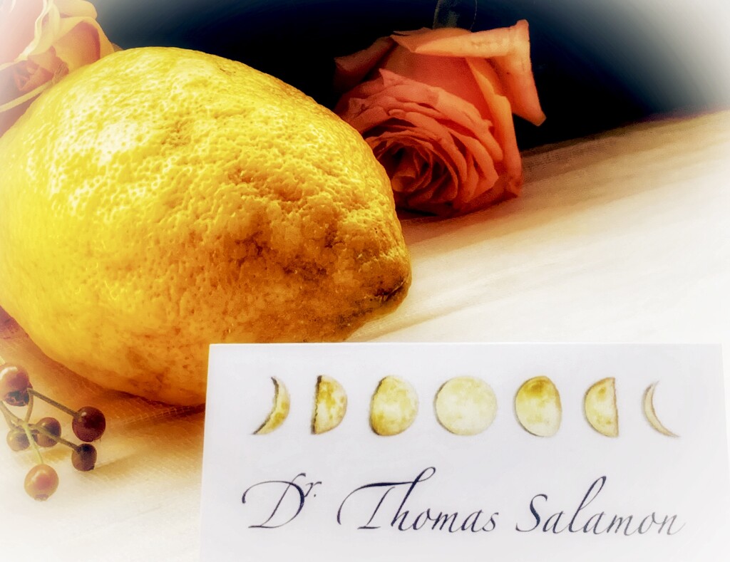 Lemons  by rensala