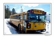 20th Mar 2024 - School Bus