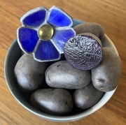 22nd Mar 2024 - Dutch Blue Potatoes