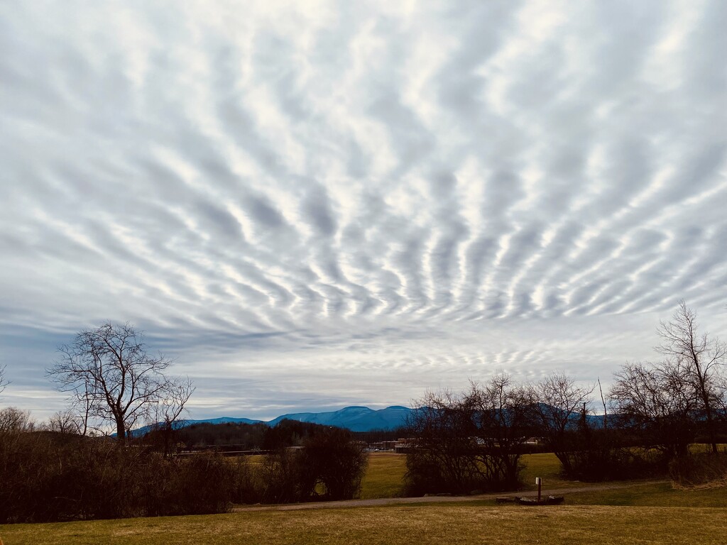 Undulatus Clouds by mtb24