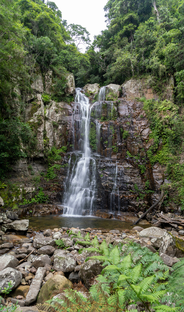 Minnamurra Falls 5 by deidre