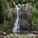 Minnamurra Falls 5