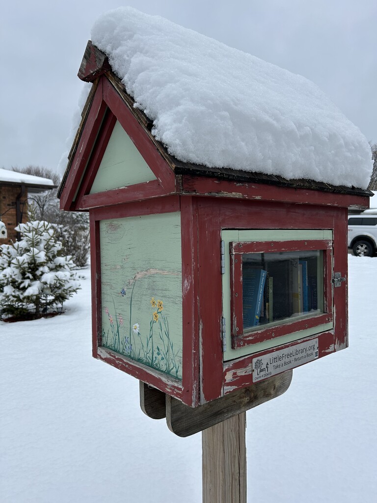 A local Little Library by mltrotter