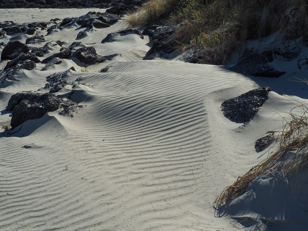 Windblown Sand by alison365