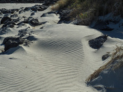 19th Mar 2024 - Windblown Sand