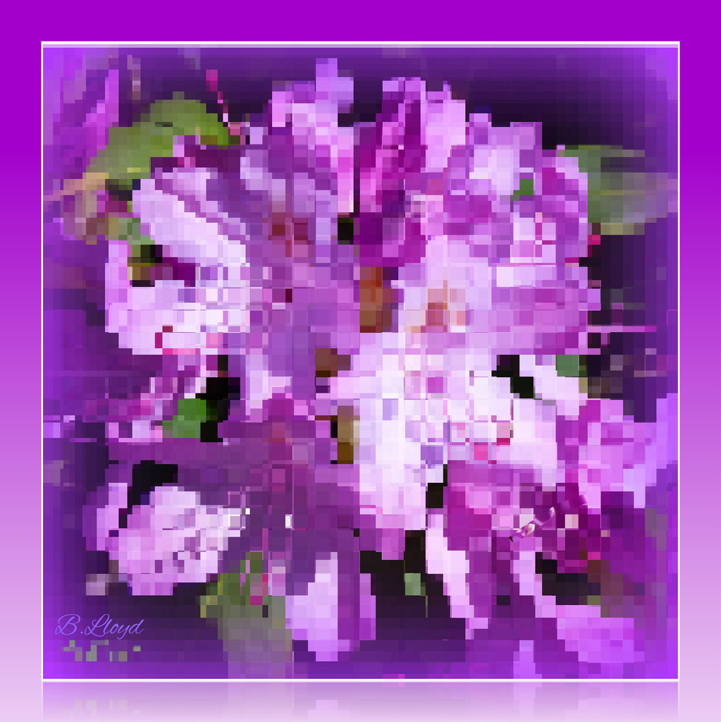 Rhododendron- abstract by beryl